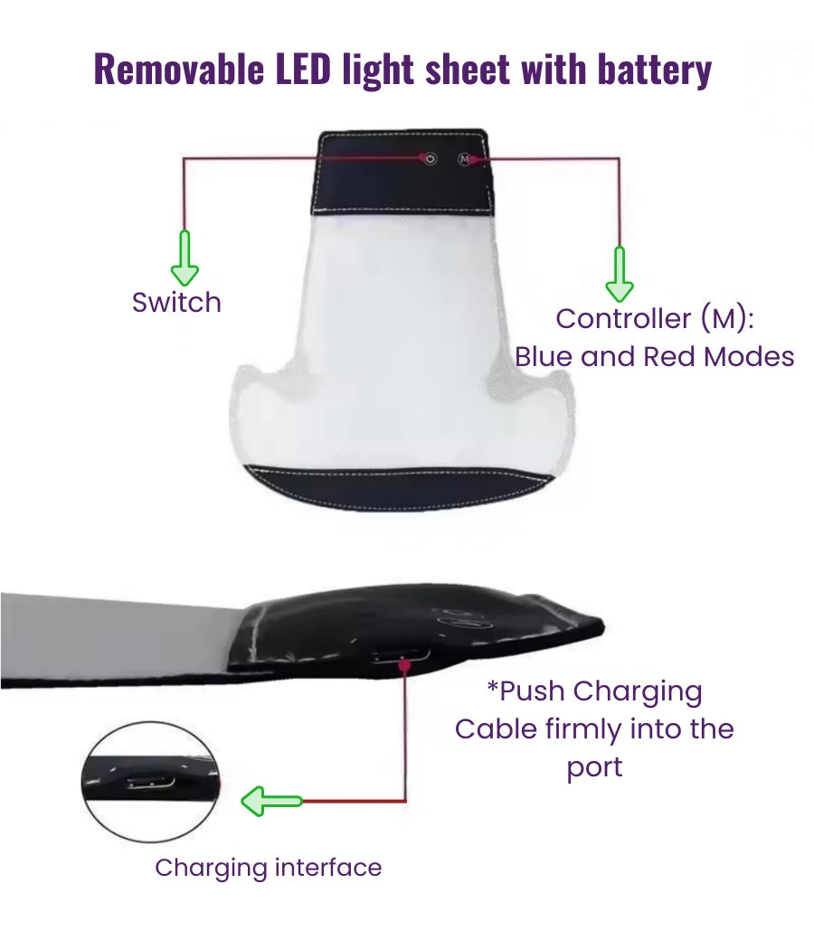 Diagram of a removable LED light sheet with battery, switch, controller, and charging interface.