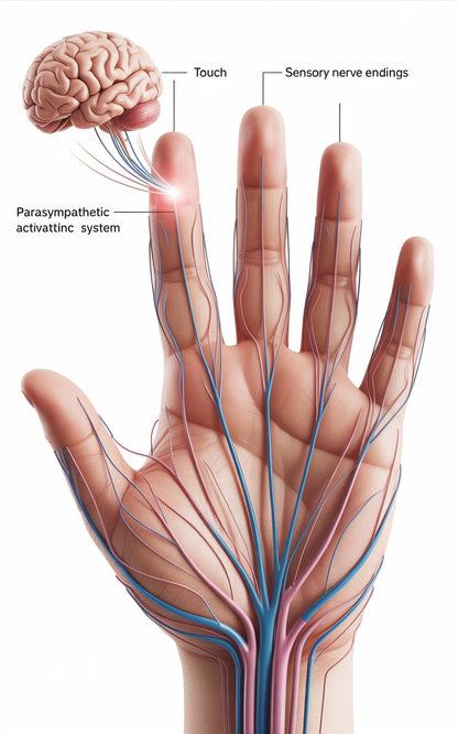 Video Showing how the ZenSory™ device works in your palm